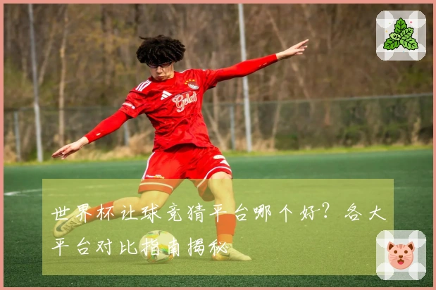 世界杯让球竞猜平台哪个好？各大平台对比指南揭秘