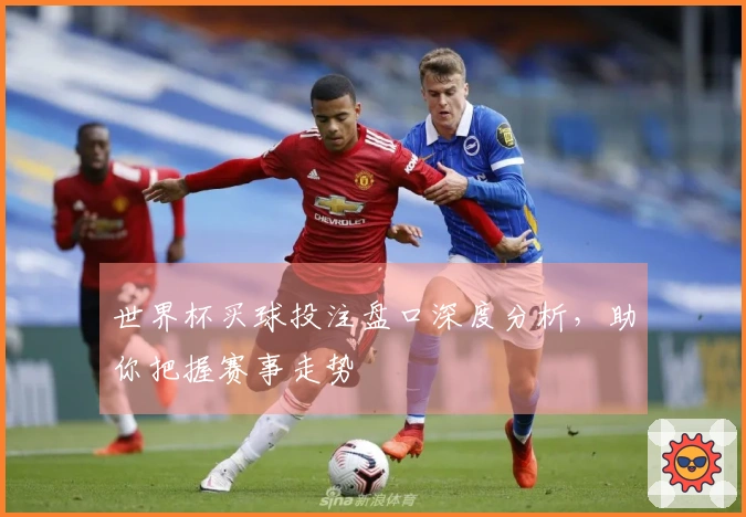 世界杯买球投注盘口深度分析，助你把握赛事走势