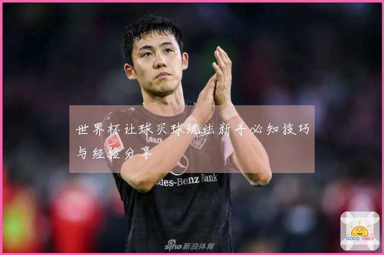 世界杯让球买球玩法新手必知技巧与经验分享