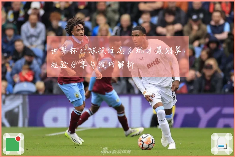 世界杯让球投注怎么玩才最划算，经验分享与技巧解析