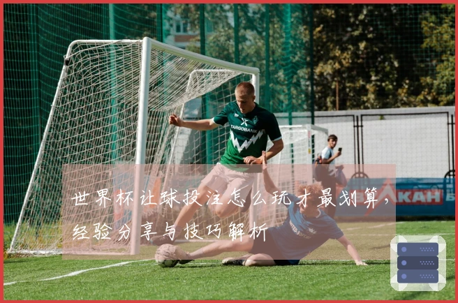 世界杯让球投注怎么玩才最划算，经验分享与技巧解析